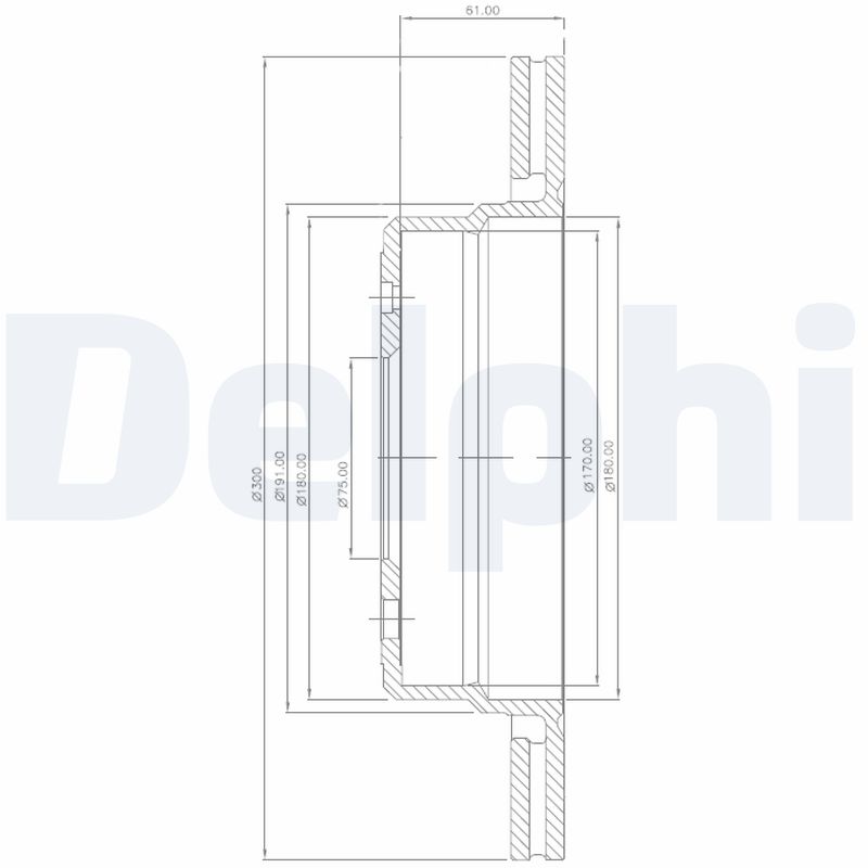 DELPHI BG2436 Brzdový kotouč