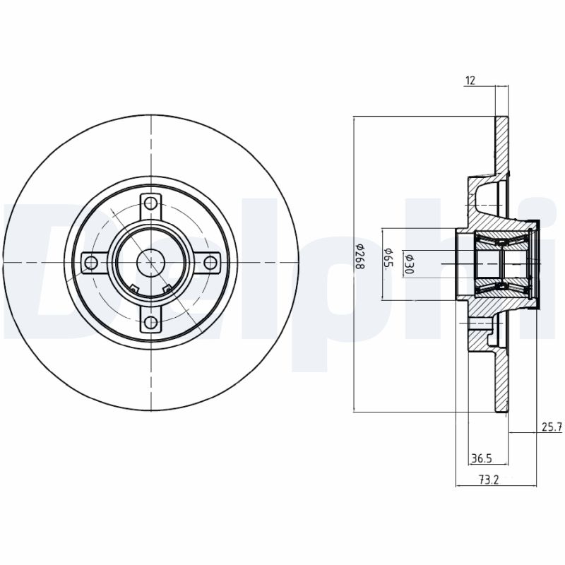 DELPHI BG9053RS Brzdový kotouč