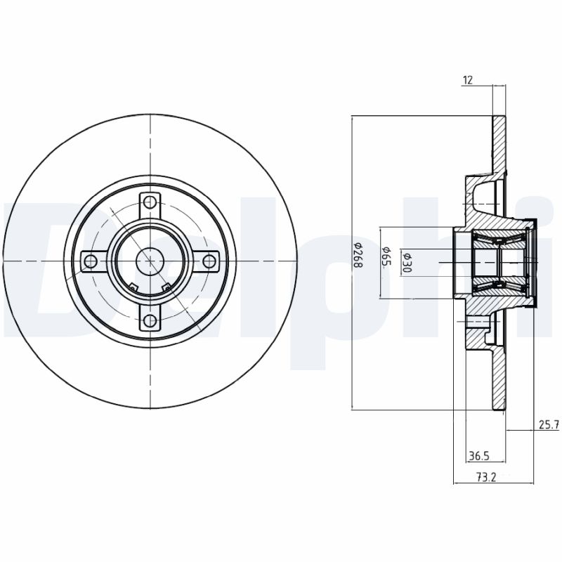 DELPHI BG9053RSC Discofreno