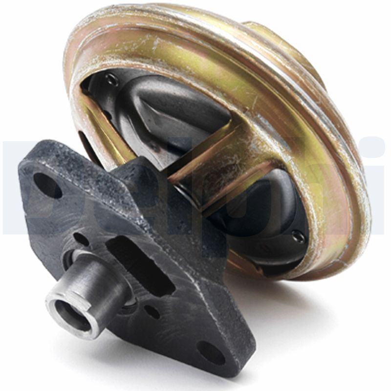DELPHI EG10099-11B1 Agr-Ventil