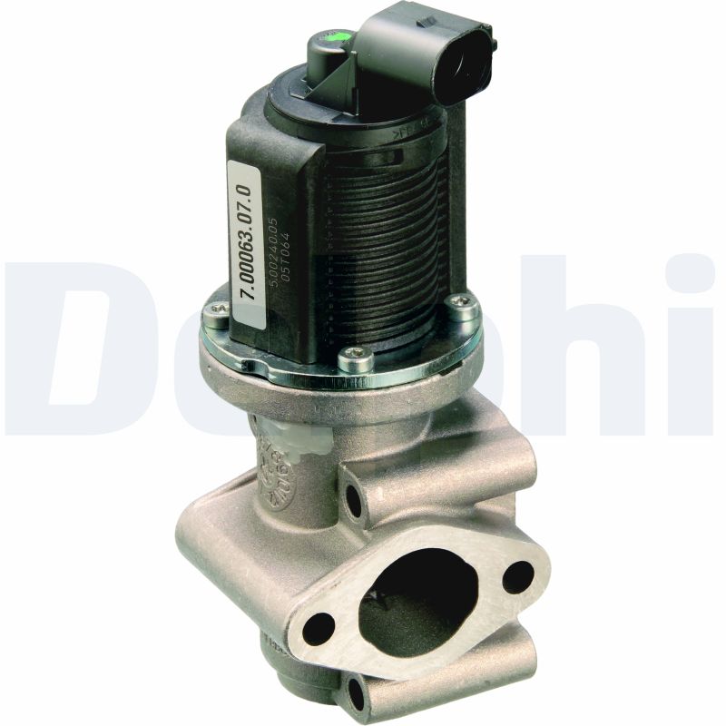 DELPHI EG10259-12B1 EGR...