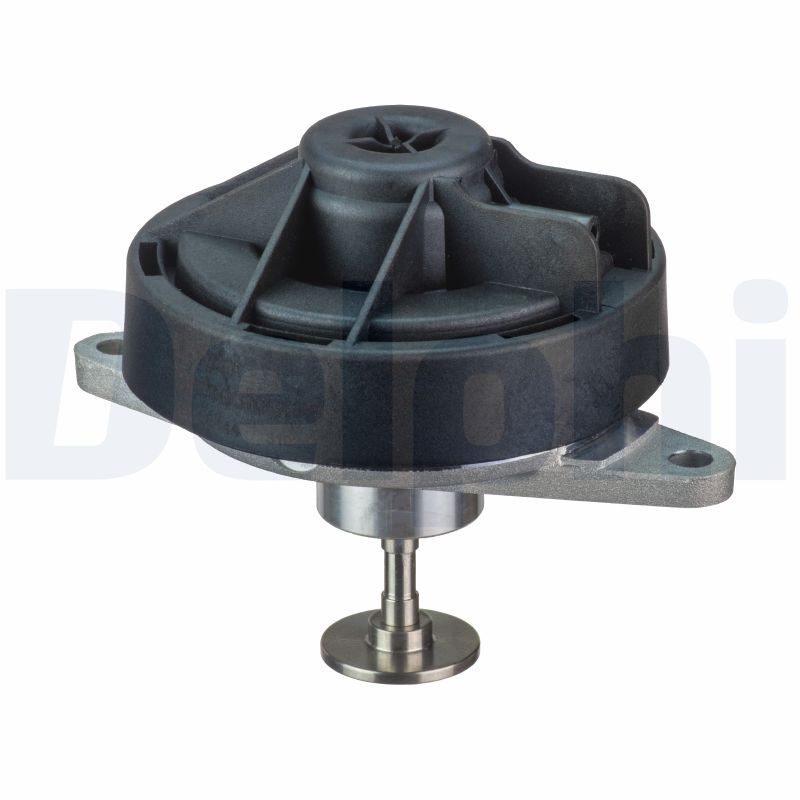 DELPHI EG10444-12B1 Valvola...
