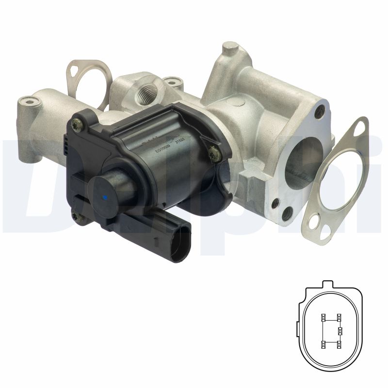 DELPHI EG10509-12B1 Agr-Ventil