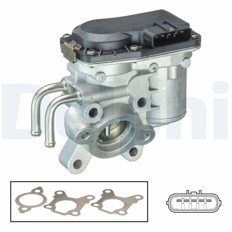 DELPHI EG10537-12B1 Valvola...