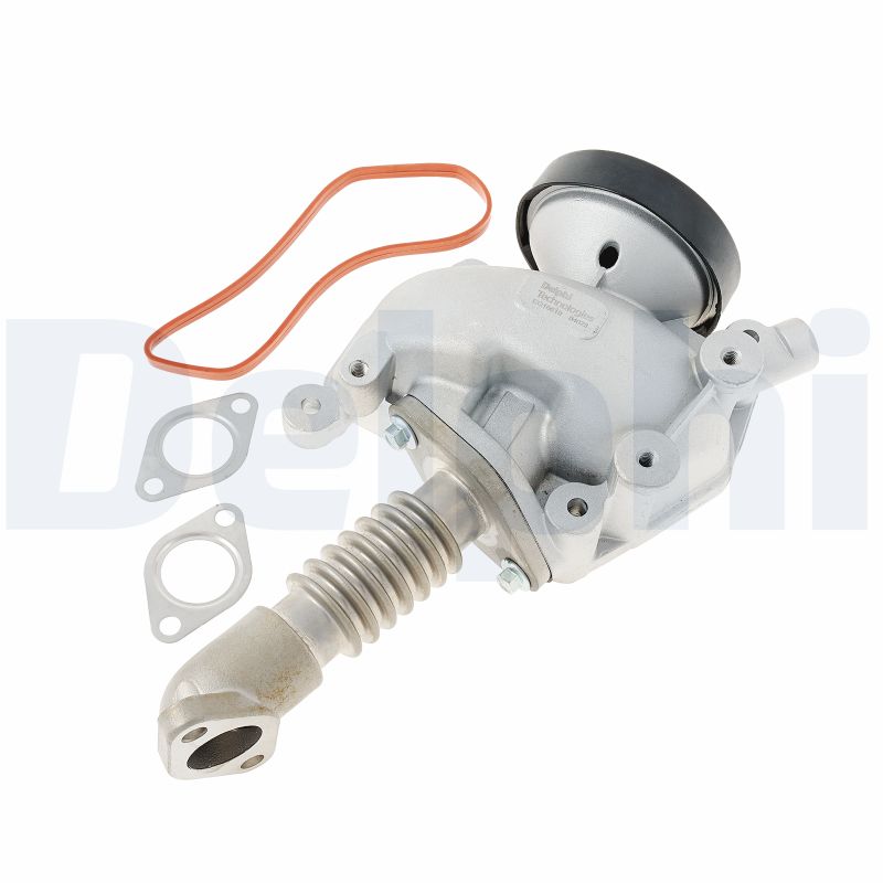 DELPHI EG10619-12B1 Valvola...