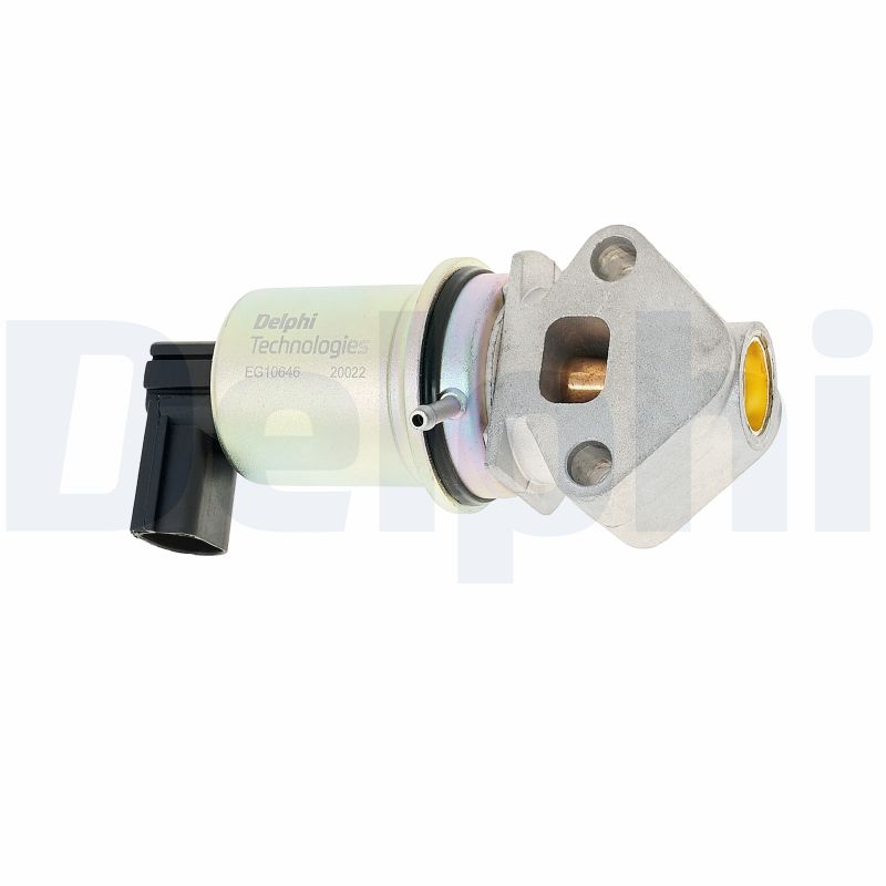 DELPHI EG10646-12B1 Valvola...