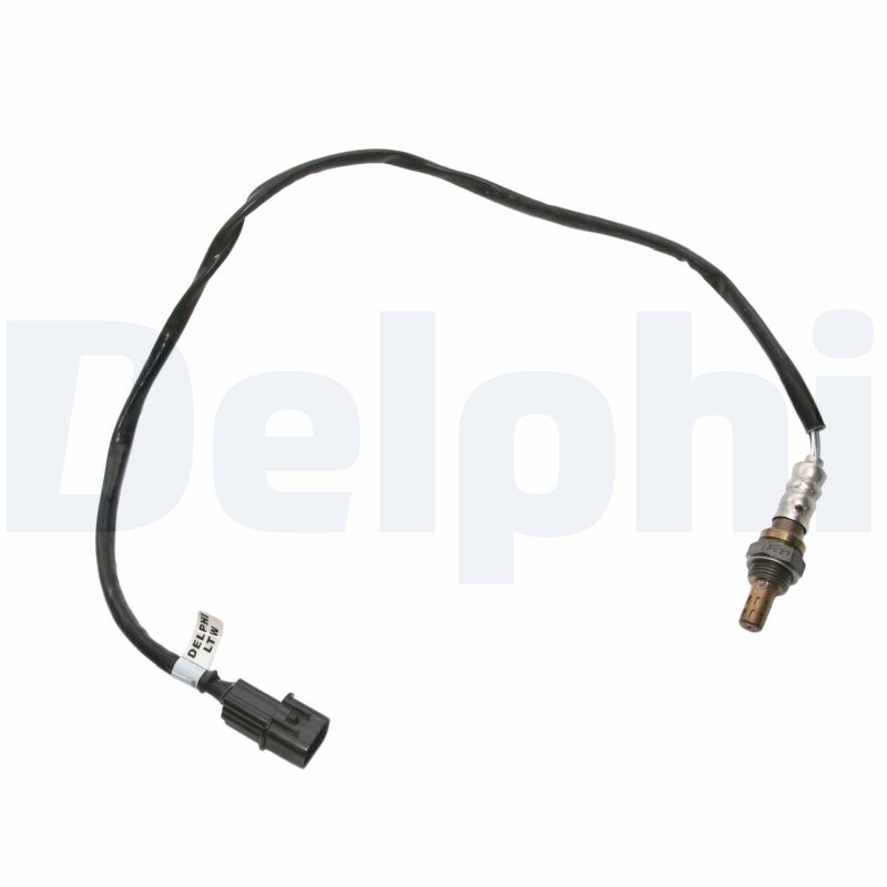 Oxygen Sensor