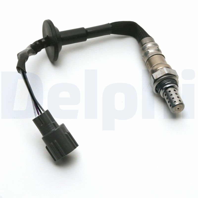 Oxygen Sensor