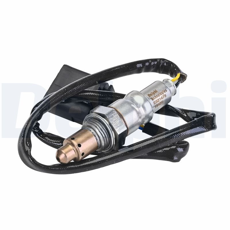 Oxygen Sensor