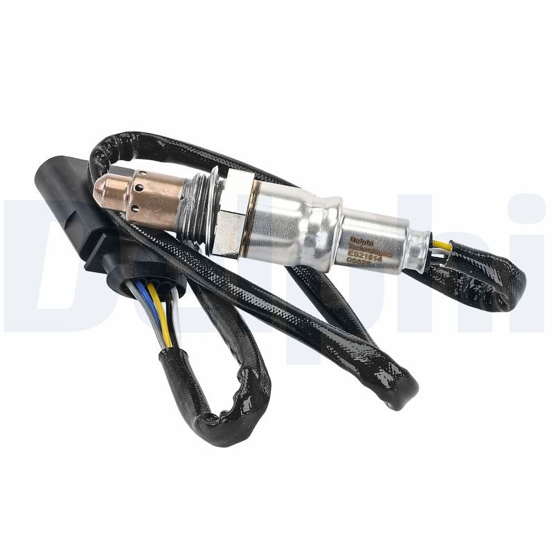 Oxygen Sensor
