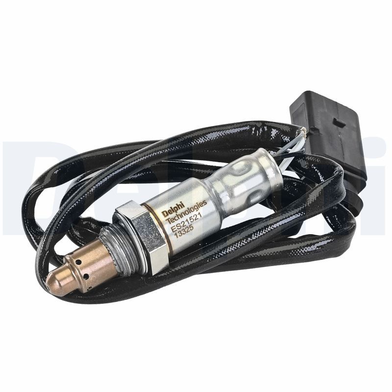 Oxygen Sensor
