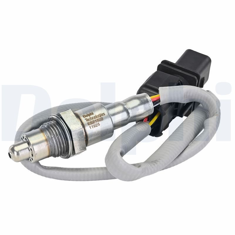 Oxygen Sensor