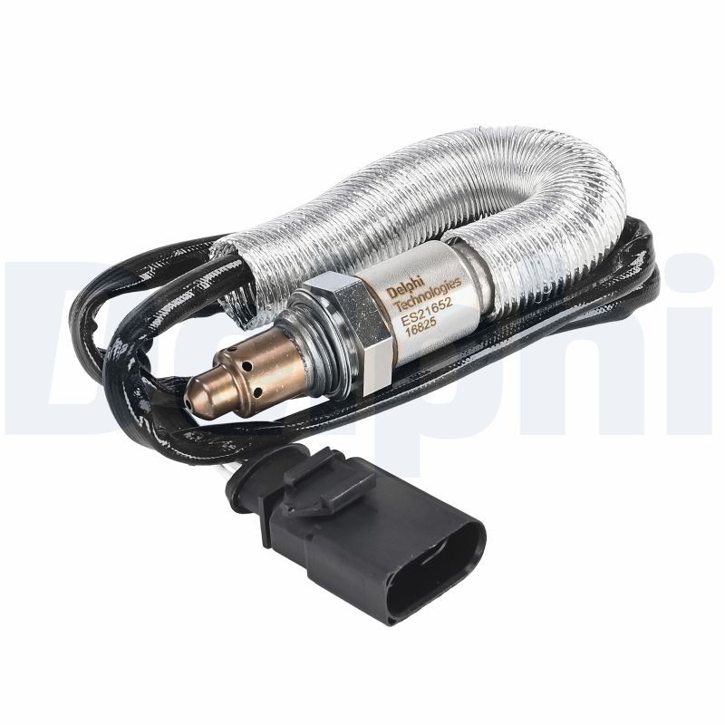 Oxygen Sensor