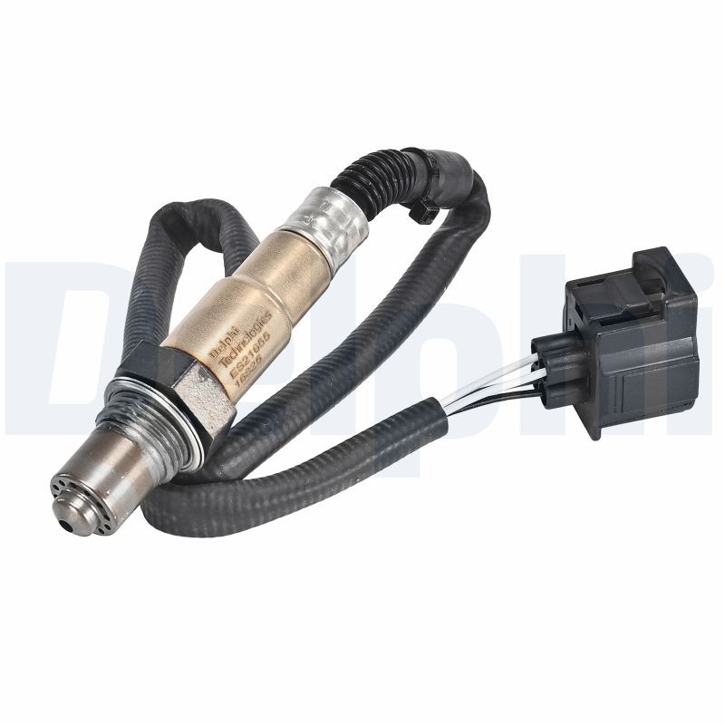 Oxygen Sensor