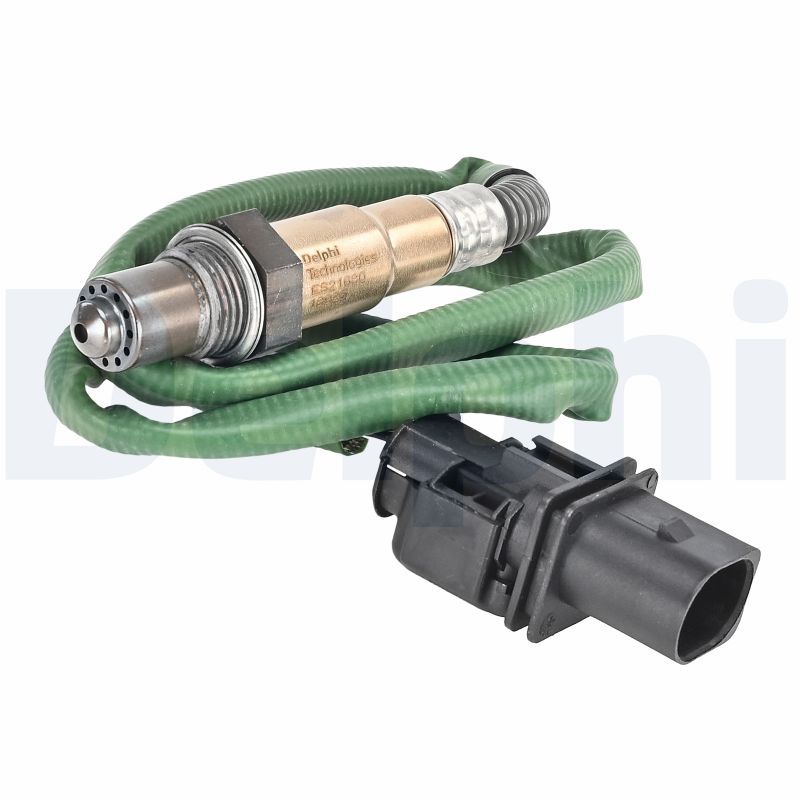 Oxygen Sensor