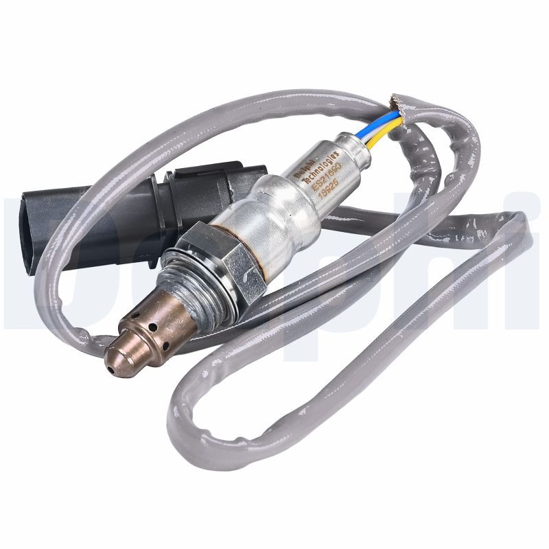 Oxygen Sensor