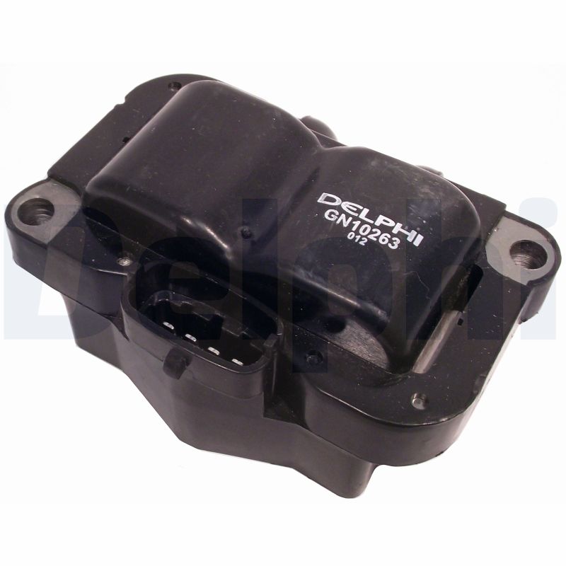 DELPHI GN10263-12B1 Bobina...