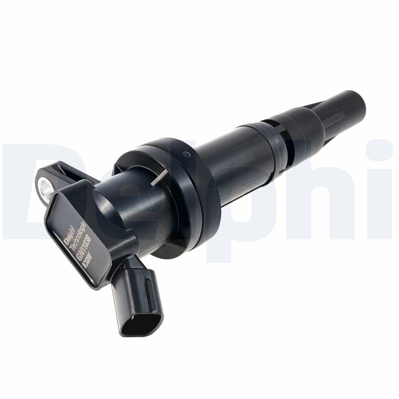 DELPHI GN11038-12B1 Bobina...