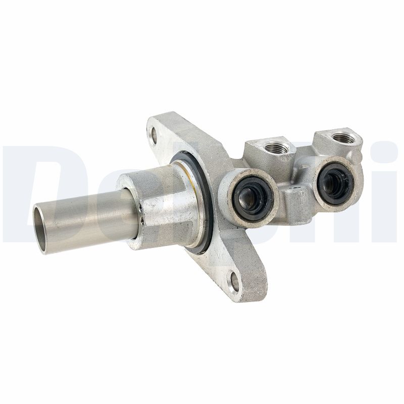 DELPHI LM80765 Peapiduri...