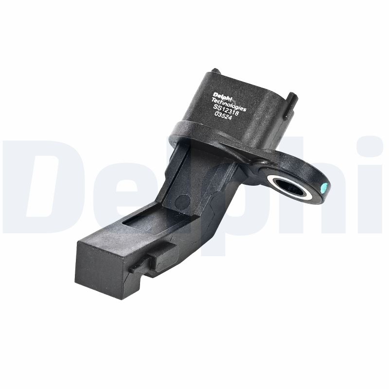 DELPHI SS12318-12B1...