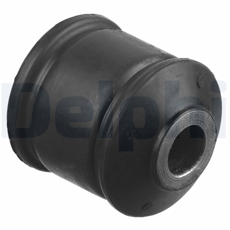 DELPHI TD1194W Supporto, Corpo assiale