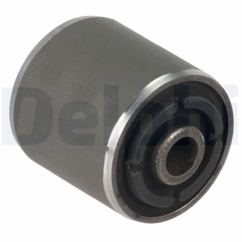 DELPHI TD1487W Supporto, Braccio oscillante