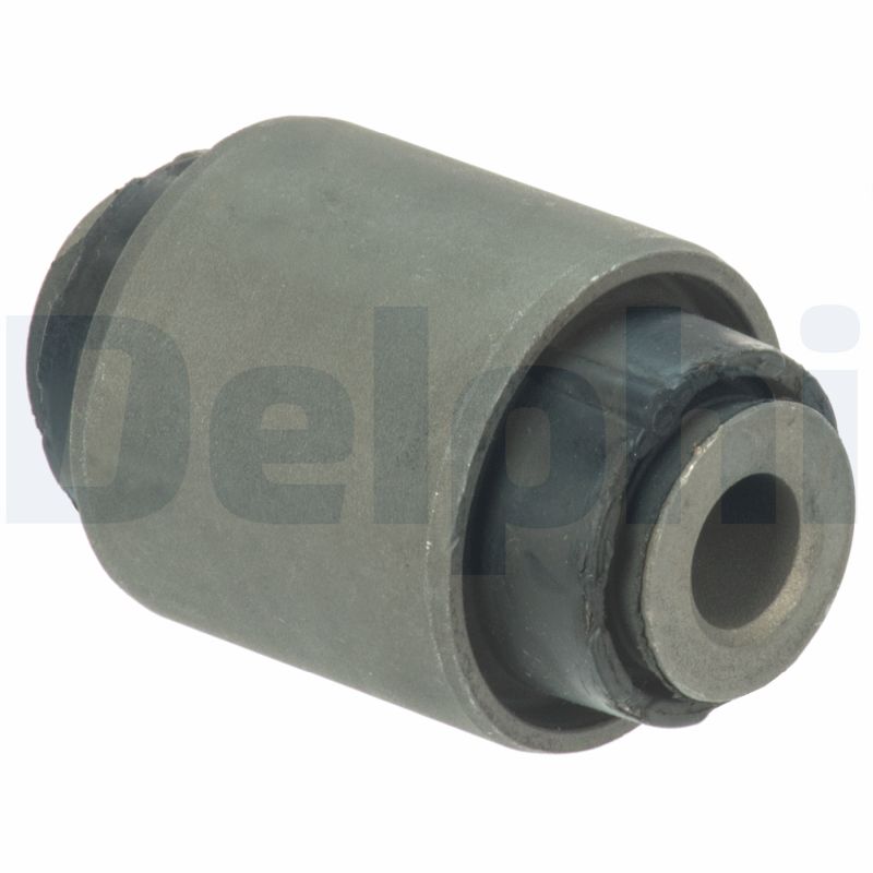 DELPHI TD1655W Supporto, Braccio oscillante