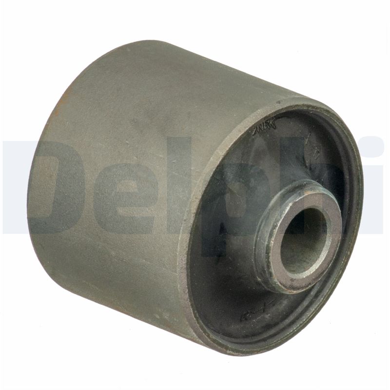 DELPHI TD1691W Supporto, Braccio oscillante