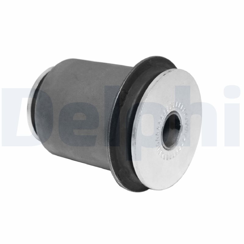 DELPHI TD1713W Supporto,...