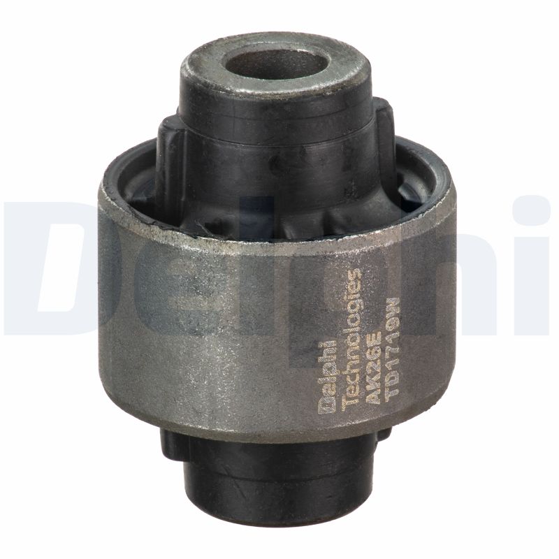 DELPHI TD1719W Supporto,...