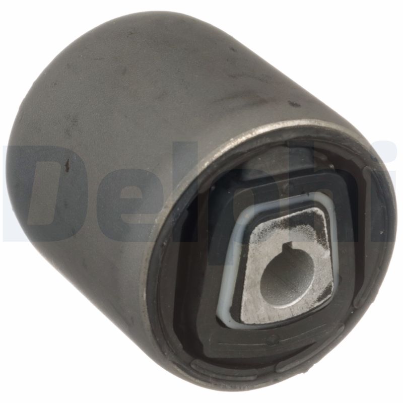 DELPHI TD1734W Supporto, Braccio oscillante