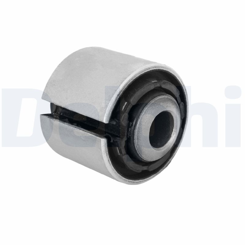 DELPHI TD1736W Supporto,...