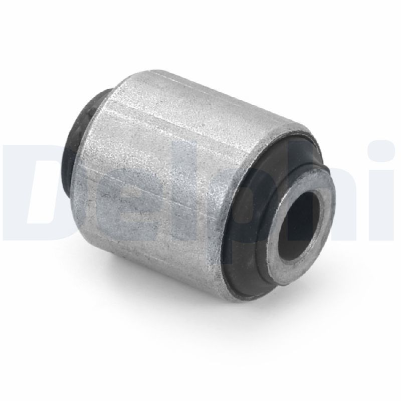 DELPHI TD1753W Supporto,...