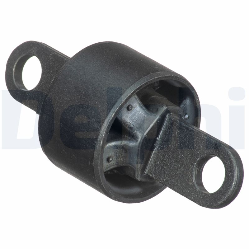 DELPHI TD1782W Supporto, Braccio oscillante