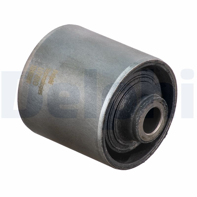 DELPHI TD1839W Supporto,...