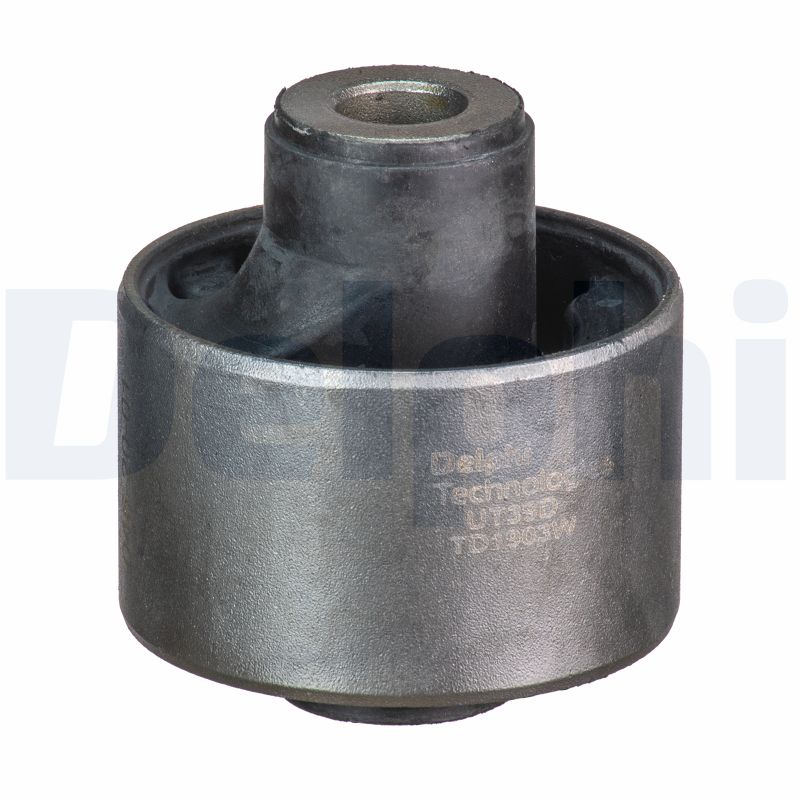 DELPHI TD1903W Supporto,...