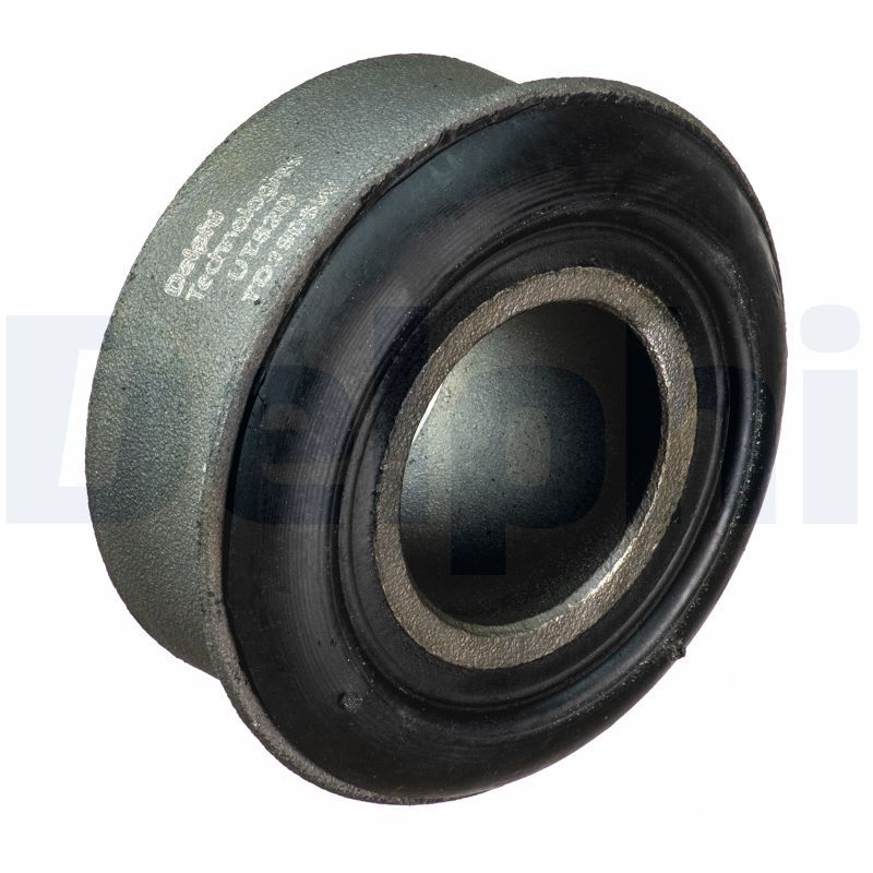 DELPHI TD1906W Supporto,...
