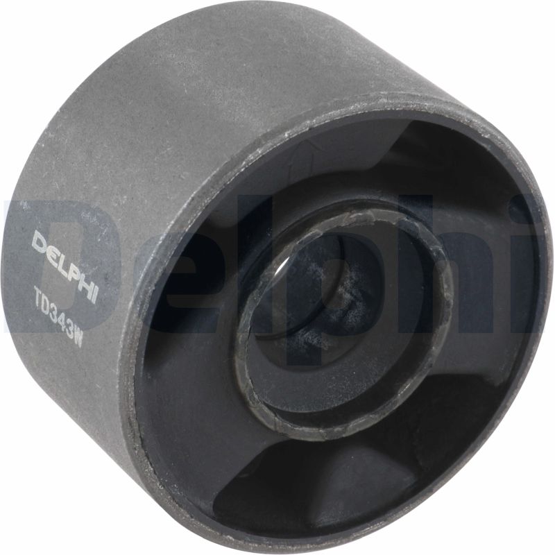 DELPHI TD343W Supporto, Braccio oscillante