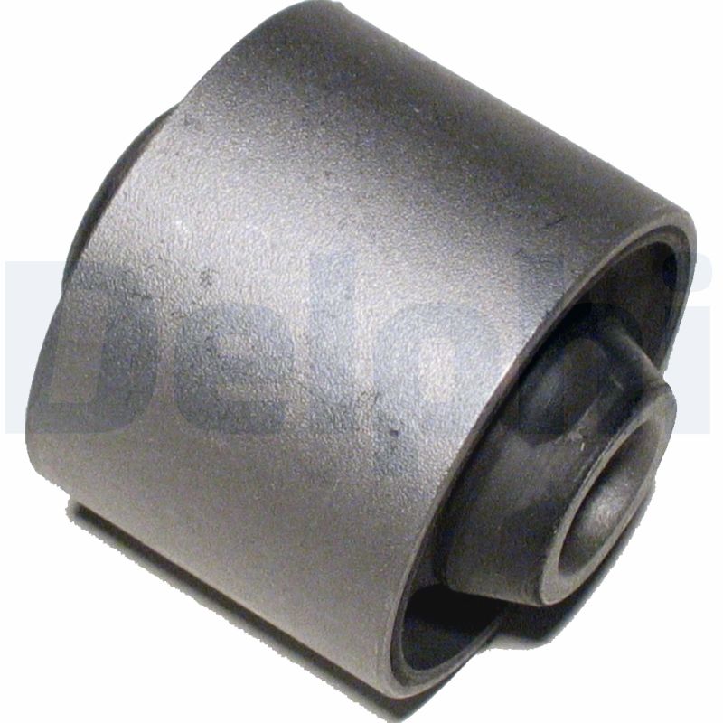 DELPHI TD471W Supporto, Braccio oscillante