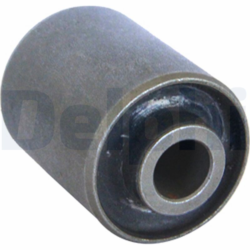 DELPHI TD5903W Supporto,...