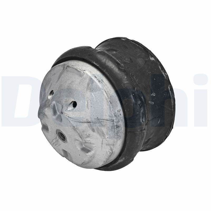 DELPHI TEM132 Mounting,...
