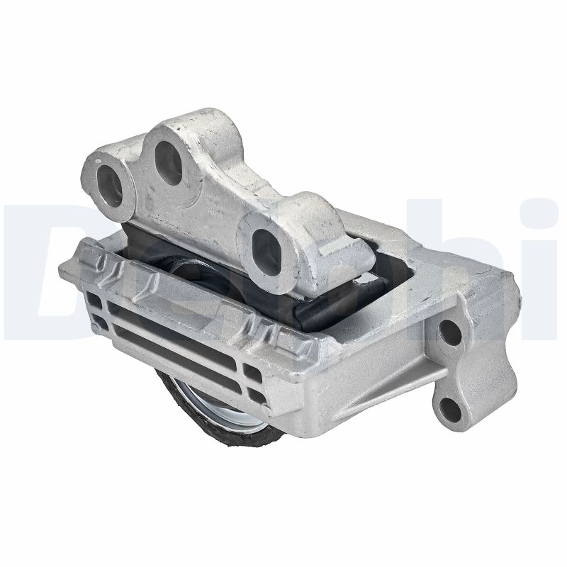 DELPHI TEM133 Mounting,...