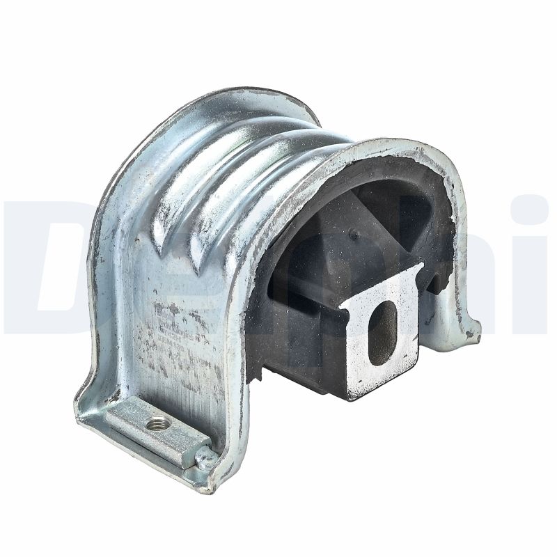 DELPHI TEM139 Mounting, engine
