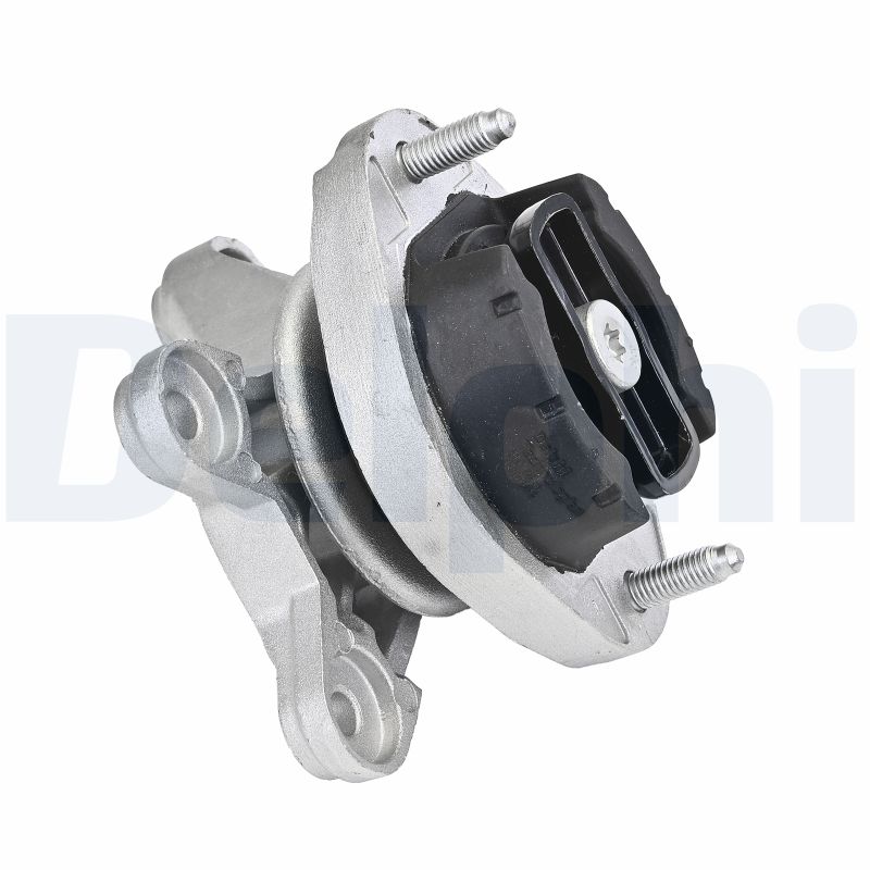 DELPHI TEM184 Supporto, Cambio