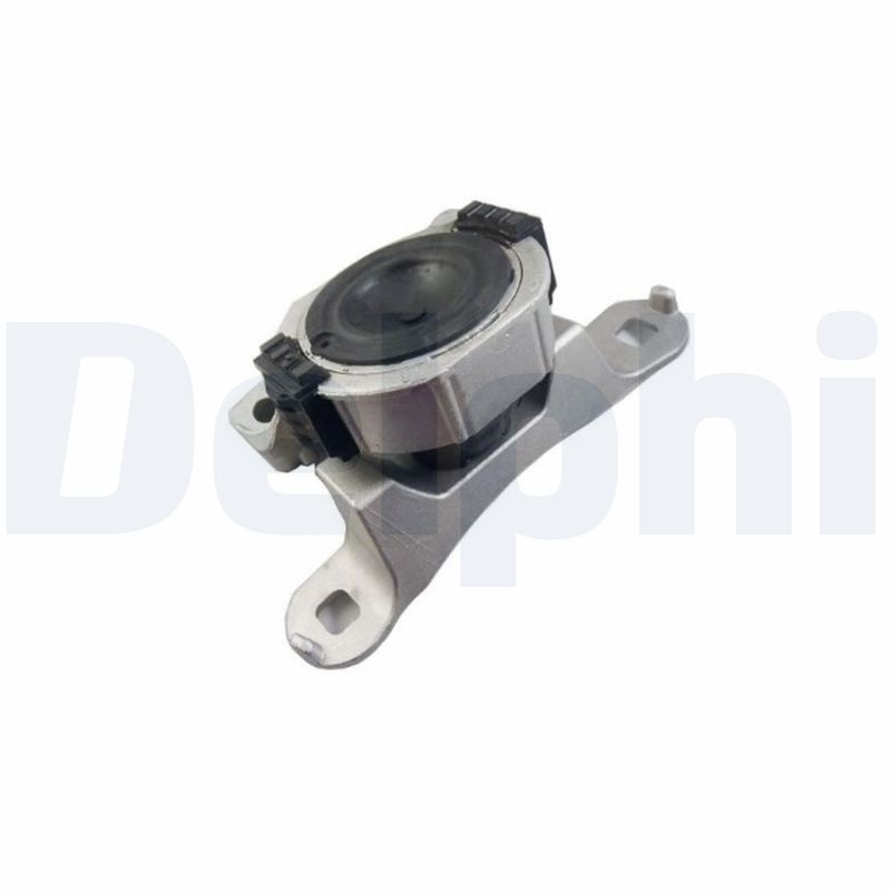 DELPHI TEM252 Mounting, engine