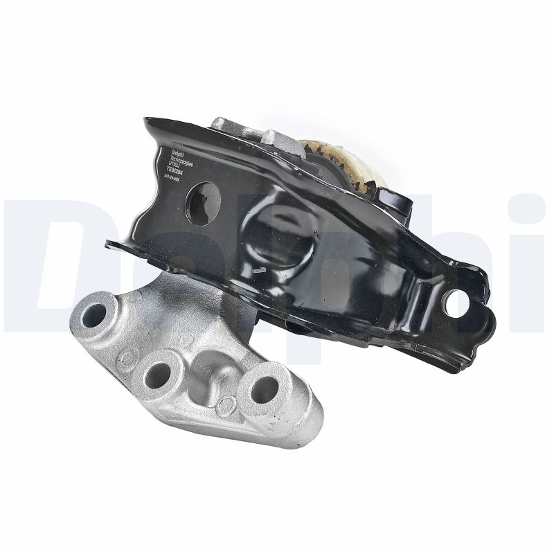 DELPHI TEM294 Mounting,...