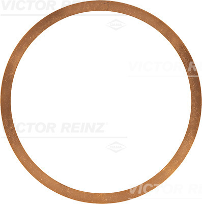 VICTOR REINZ 40-70579-00 Guarnizione, Testata