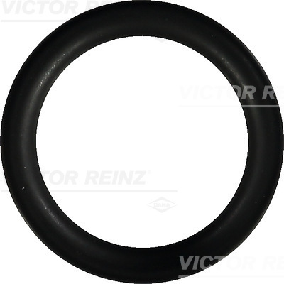 VICTOR REINZ 40-76246-00 Guarnizione, Collettore aspirazione-Guarnizione, Collettore aspirazione-Ricambi Euro