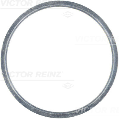 VICTOR REINZ 61-23410-00 Guarnizione, Testata