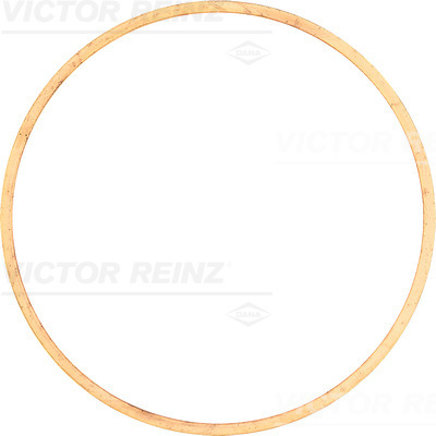 VICTOR REINZ 61-23550-00 Guarnizione, Testata